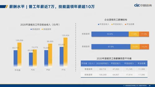 《2021年制造業(yè)人力資本管理與薪酬趨勢(shì)報(bào)告 資產(chǎn)管理視角下的挑戰(zhàn)與機(jī)遇》